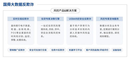 國舜股份 業務安全、安全開發與安全服務領域的卓越代表者，引領信息系統集成服務新篇章